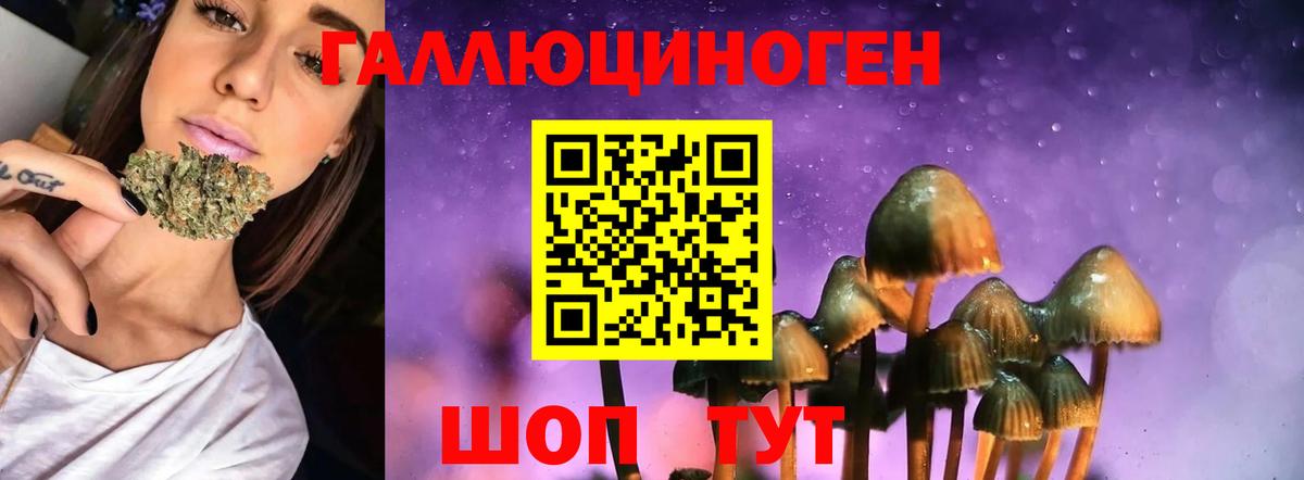 Псилоцибиновые грибы мицелий Лиски