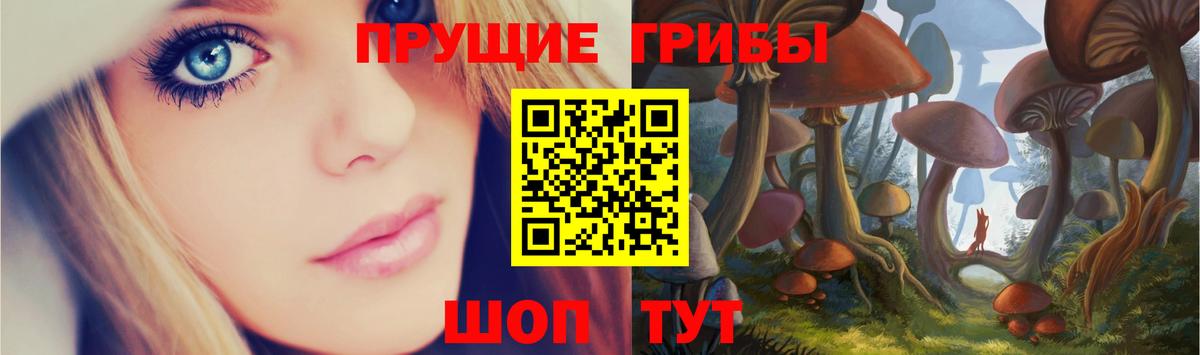 Псилоцибиновые грибы MAGIC MUSHROOMS  Псилоцибиновые грибы прущие грибы  Лиски  Вход с VPN 